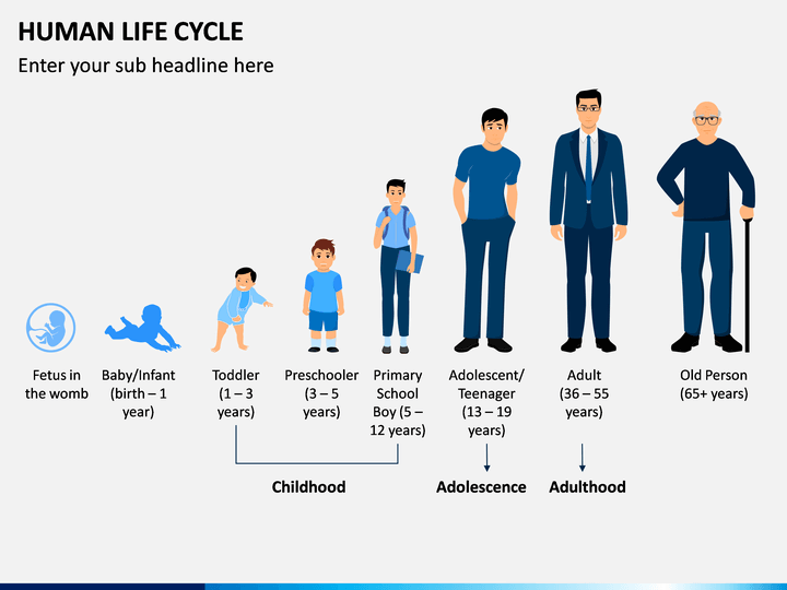 Attachment human-life-cycle-slide4.png