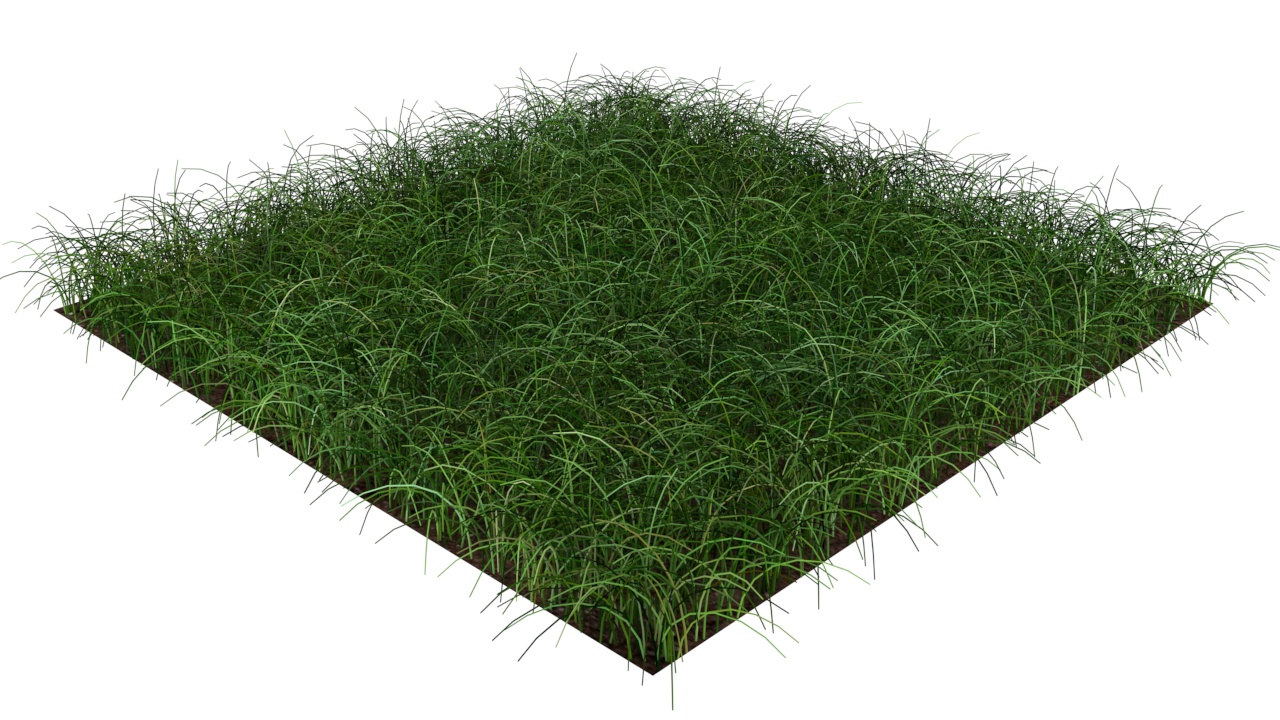 Attachment grass.jpg