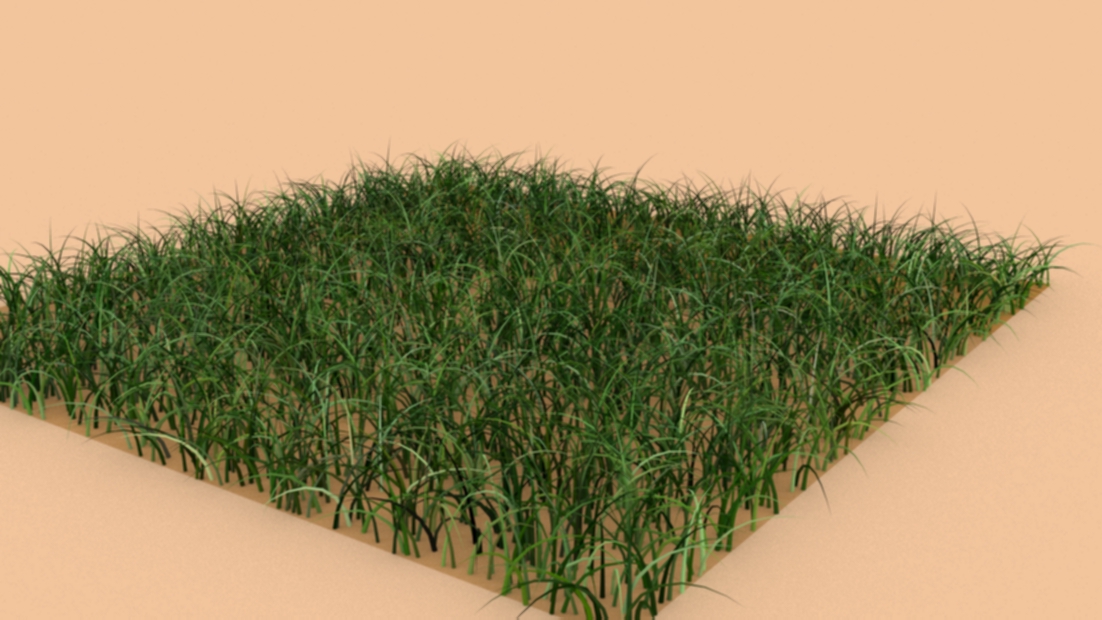 Attachment grass.jpg