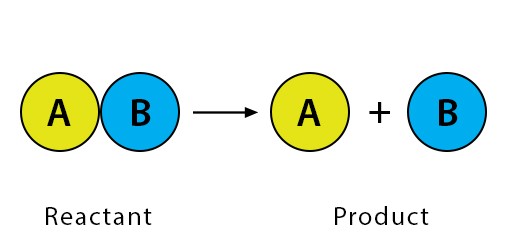 Attachment Decomposition-Reaction.jpg