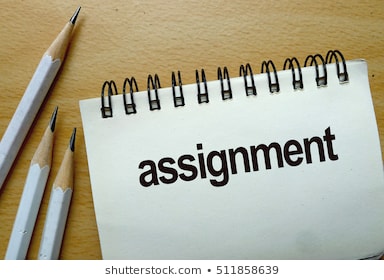 Assignment