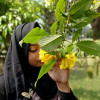 Picture of Firuj Tasnim