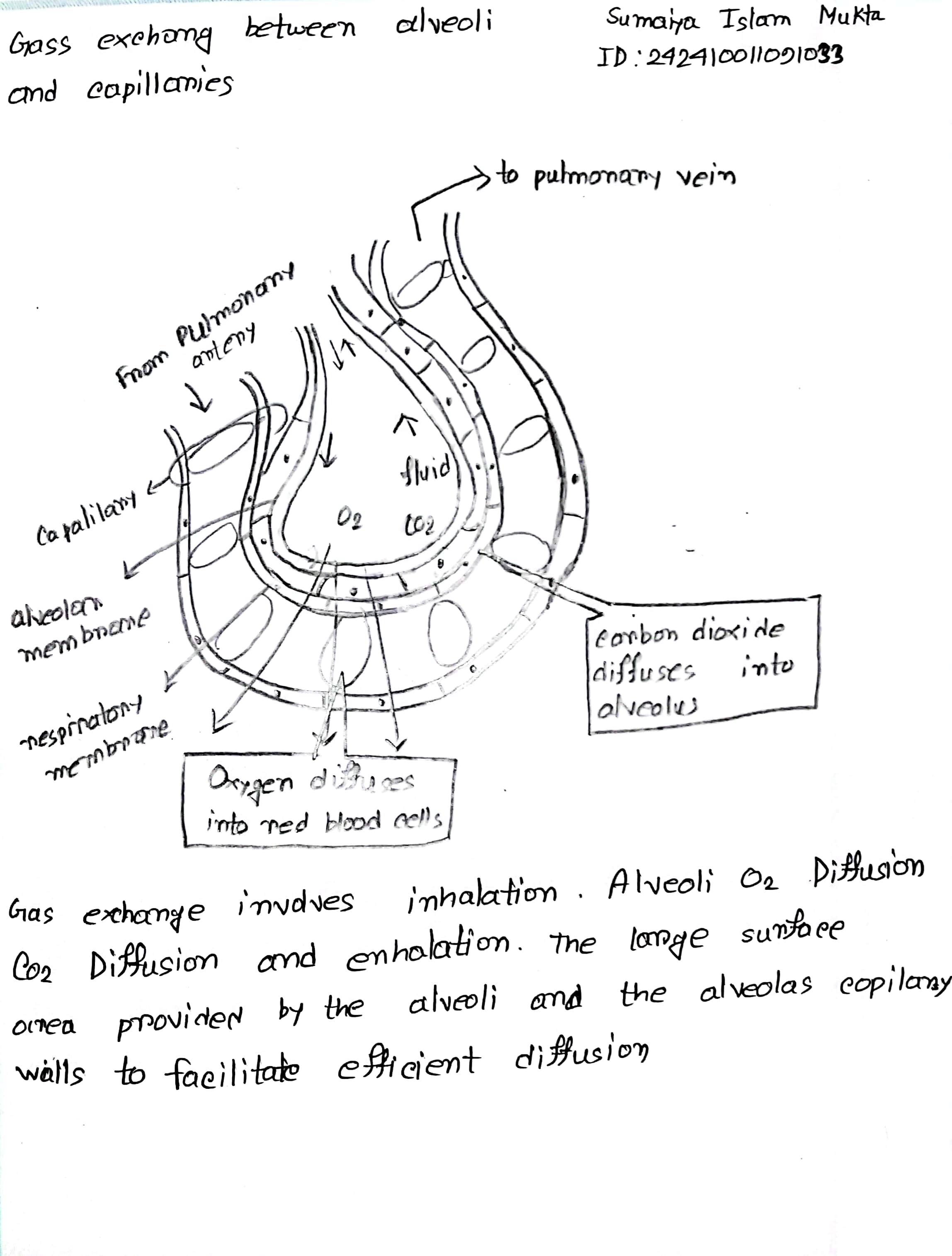 Attachment CamScanner 05-19-2024 10.22.jpg