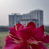 Picture of Sadia Islam