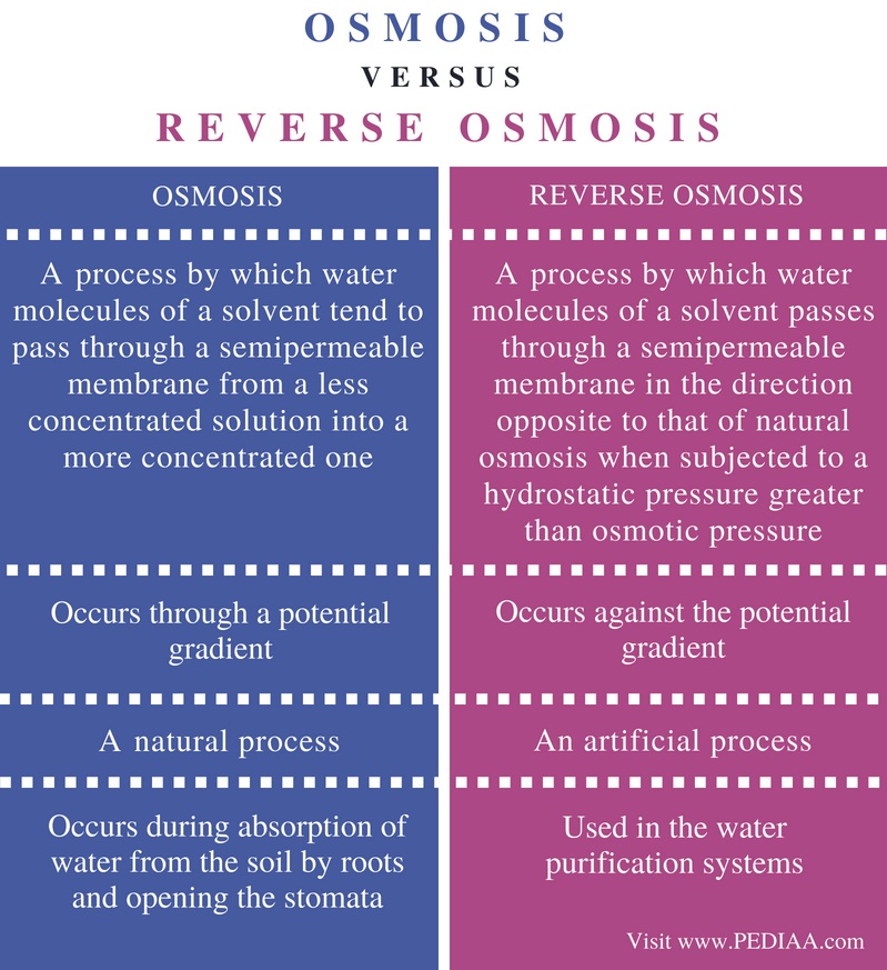 Attachment Difference-Between-Osmosis-and-Reverse-Osmosis-Comparison-Summary.jpg