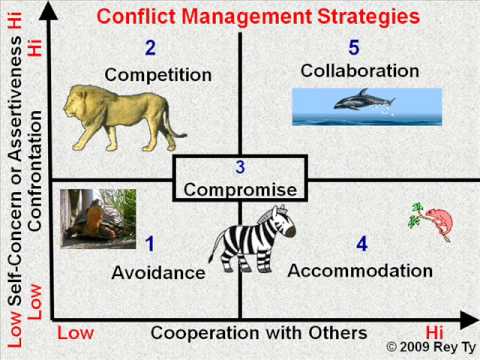 Course: Conflict Management (Spring 21)