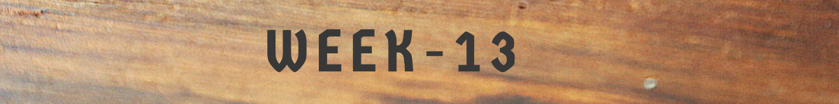 week 13